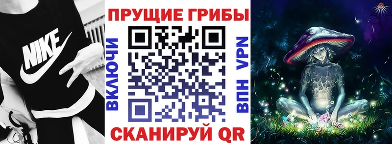 Псилоцибиновые грибы Cubensis  Гагарин 